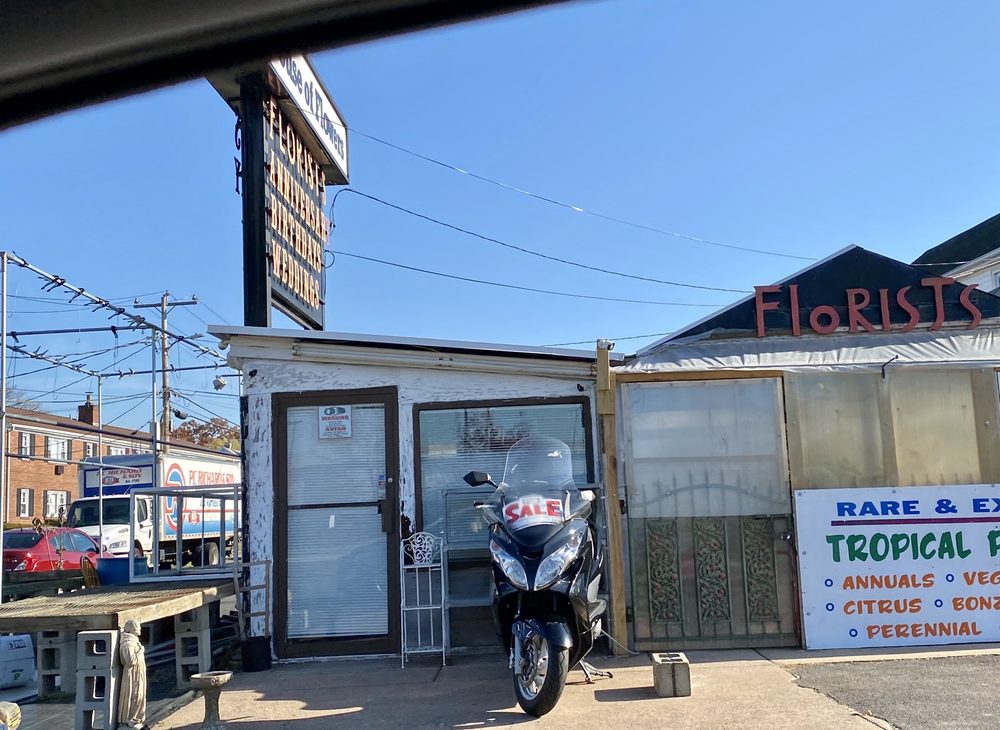 HOUSE OF FLOWERS FLORISTS Updated August 2024 24 Photos 456 Main