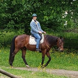 Misty Acres - Elvis