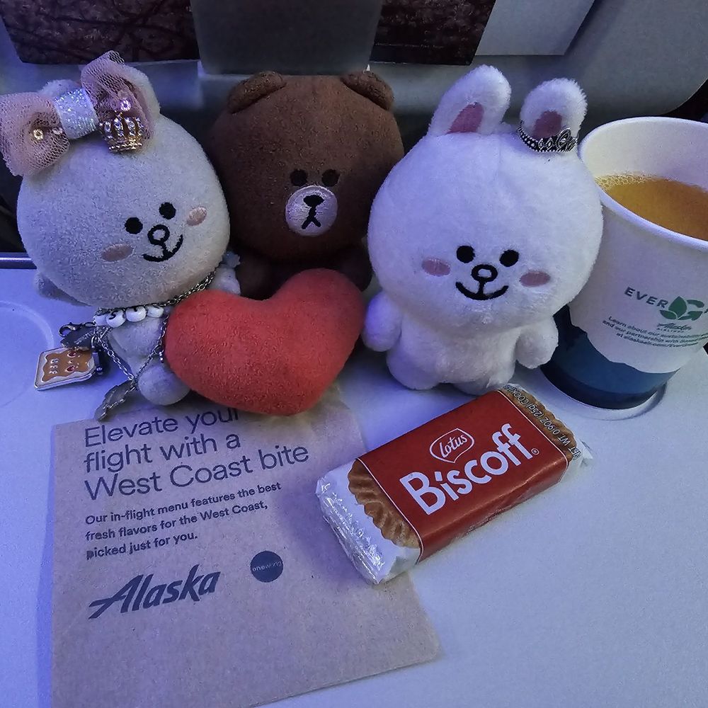 Alaska Airlines - First round of beverages included a Biscoff cookie - Airlines Near Me - Houston, Texas Alaska Airlines - First round of beverages included a Biscoff cookie - Airlines Near Me - Houston, Texas
