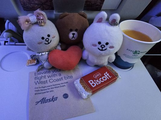 Alaska Airlines by null