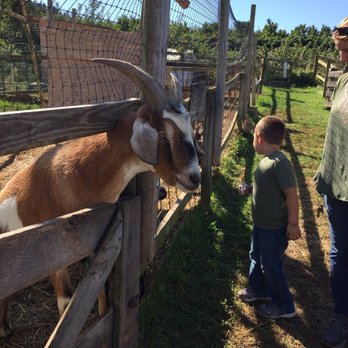 Ochs Orchard - Farm animals to pet too! - Fruits & Veggies Near Me - Warwick, New York