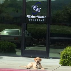 White Water Plumbing