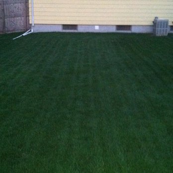 TruGreen Lawn Care - Tree Services Near Me - South Bend, Indiana TruGreen Lawn Care - Tree Services Near Me - South Bend, Indiana