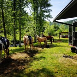 Smokin Saddles Riding - Randy's RnR time!
