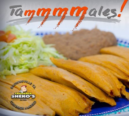 Taqueria Sheko's Brownsville by null
