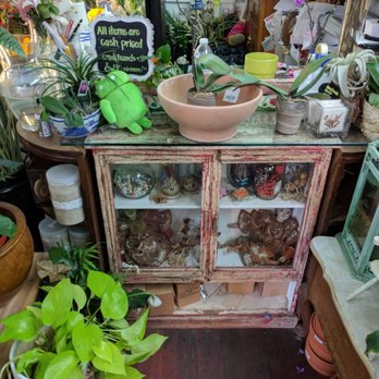 Joy's Flowers Pot - Florists Near Me - New York, New York