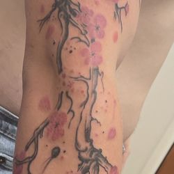 Turtles Tattoo and Company 
