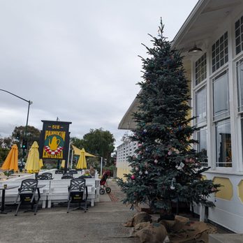 Pannikin Coffee & Tea - Coffee & Tea Near Me - Encinitas, California Pannikin Coffee & Tea - Coffee & Tea Near Me - Encinitas, California