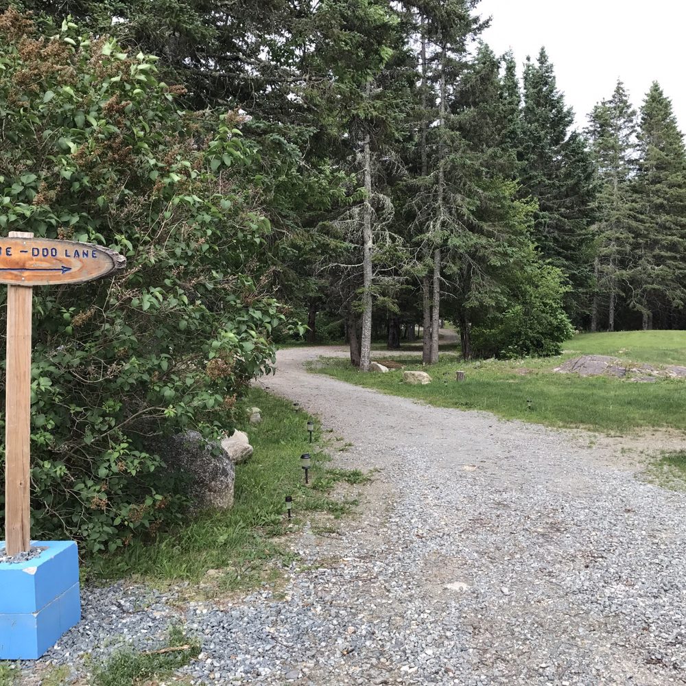 A little trail to walk your dog A little trail to walk your dog