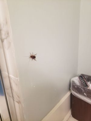 The Elliott House Inn by null