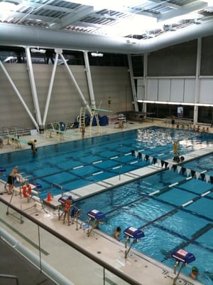 Flushing Meadows Corona Park Aquatic Center by null