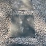 Michael McCarthy Stones