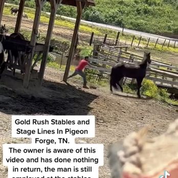 Goldrush Stables & Stage Lines - Horseback Riding Near Me - Pigeon Forge, Tennessee Goldrush Stables & Stage Lines - Horseback Riding Near Me - Pigeon Forge, Tennessee