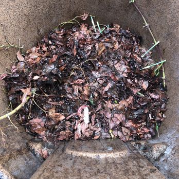 Primetime Cleaning Services - roof debris cleanly disposed of in refuse can - Gutter Services Near Me