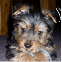 Slide of Cumberland Heating &Air Conditioning