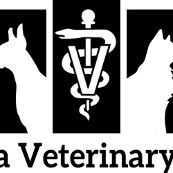 Vienna Veterinary Clinic