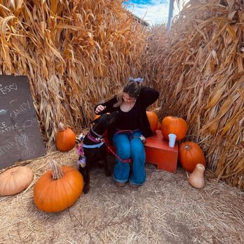 Queens Pumpkin Patch - Pumpkin Patches Near Me - Saratoga, California