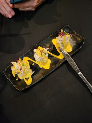 Mestizo Fusion Cuisine by null