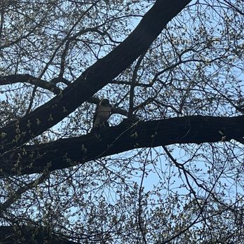 Prospect Park - Parks Near Me - Brooklyn, New York