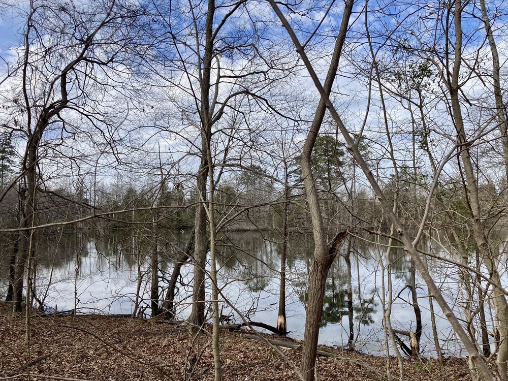 Lone Star Lakes Park