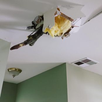 1. Eagle Construction-General Contractors & Restoration