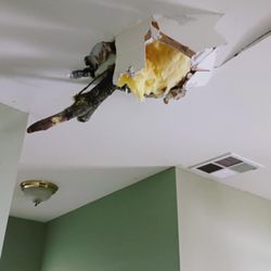 Eagle Construction-General Contractors & Restoration - Roof. truss and ceiling breach from multiple branches.