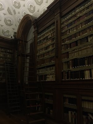 Palatina Library by null