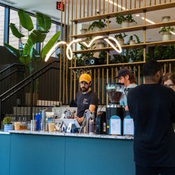 Little Wolf Coffee - Inferior bar