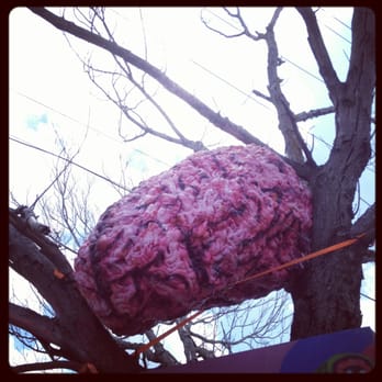 Jerry's Artarama - Austin - Brain in a Tree - Art Supplies Near Me - Austin, Texas Jerry's Artarama - Austin - Brain in a Tree - Art Supplies Near Me - Austin, Texas