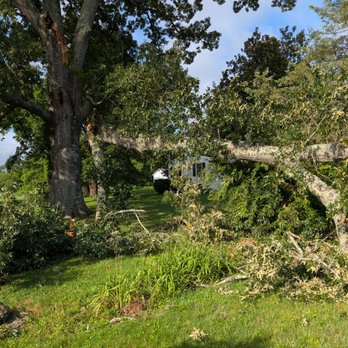Mcgee Tree and Stump Service - What a mess. - Tree Services Near Me - Powhatan, Virginia Mcgee Tree and Stump Service - What a mess. - Tree Services Near Me - Powhatan, Virginia
