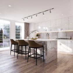 Renovation Nation