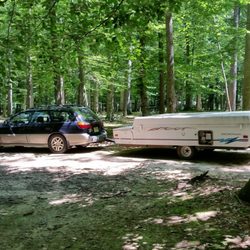 Four Seasons Family Campground - Even in their exposed sections there is plenty of room to get a camper in.