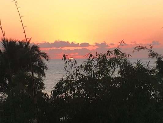 Encino Hotel Puerto Vallarta by null