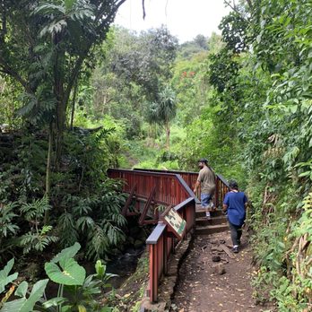 Makiki Valley Trail - Hiking Near Me - Honolulu, Hawaii