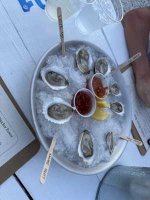 Barnegat Oyster Collective by null