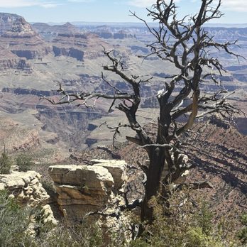 MaxTour - Bus Tours Near Me - Las Vegas, Nevada