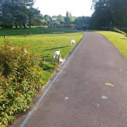 Zuiderpark - A path in zuiderpark last summer