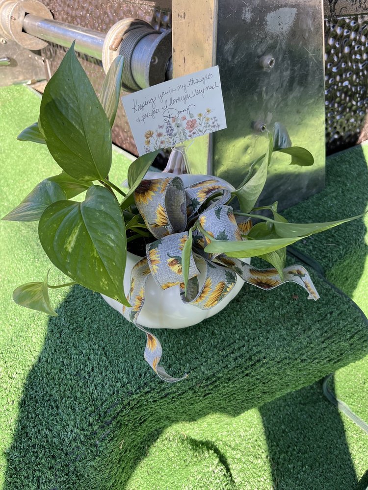 SAVING GRACE FLORAL CABIN Updated August 2024 111 Boxwood St, Salem