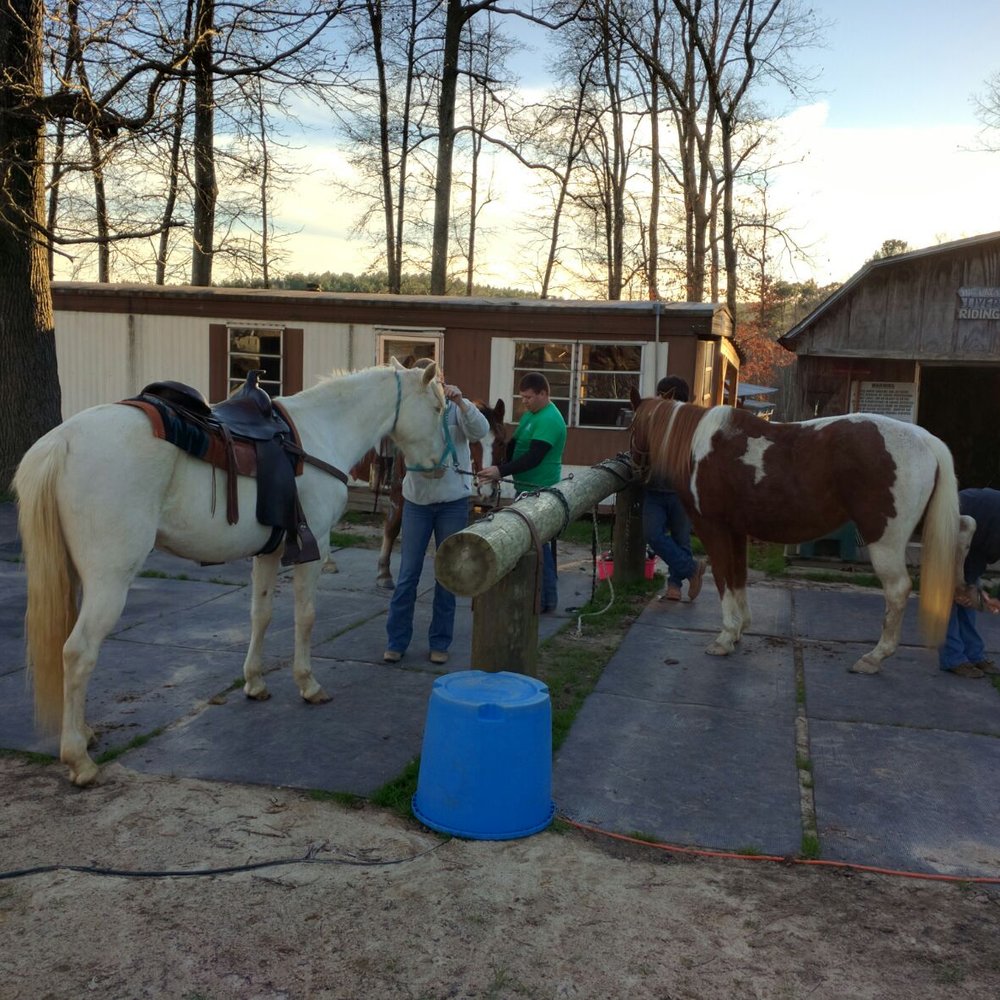 C&C Farm - Horseback Riding Near Me - Louisburg, North Carolina