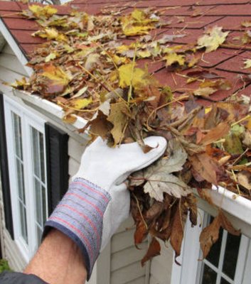 Gutter Cleaning & Repair - Tired of overgrown grass and clogged gutters? Let Campbell's Curb Appeal handle the dirty work! Full-Service Lawn Care (Mowing, Edging, Trimming, Blowing). Gutter Cleaning, Flush-Outs, & Repairs. Call to schedule your FREE estimate today. Residential & light commercial.