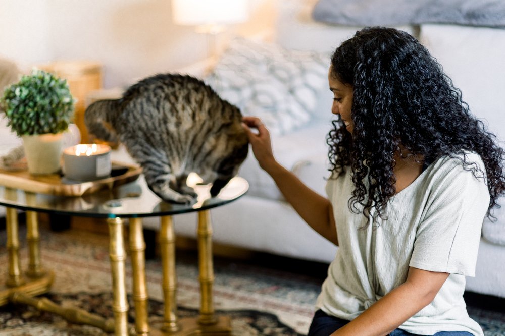 COASTAL CAT CARE WILMINGTON Updated August 2024 Wilmington, North