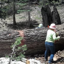 High Sierra Volunteer Trail Crew