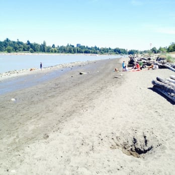McDonald Beach Dog Park - Great place to hang out with your furry friends and get away from the city! - Dog Parks Near Me - Richmond, British Columbia McDonald Beach Dog Park - Great place to hang out with your furry friends and get away from the city! - Dog Parks Near Me - Richmond, British Columbia