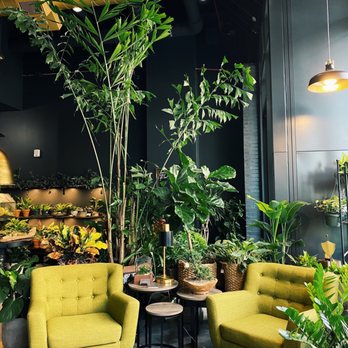 Chlorophyll by Kinghorn Gardens - Can I please just sit in this chair forever?? - Nurseries & Gardening Near Me - Omaha, Nebraska
