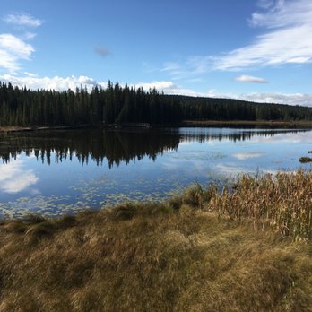 Beaver Boardwalk - Parks Near Me
