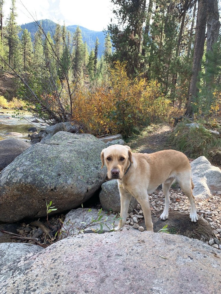 ADA VETERINARY HOSPITAL Updated October 2024 3889 E Amity Rd, Meridian, Idaho