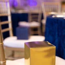 MangoSoup - Military Retirement and Birthday Celebration - Disney Resort