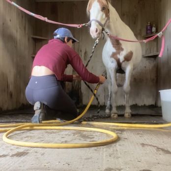 Horseplay Ranch - He was so scared of hoses before went to horse play he has dug me face first across my friends field but look at him now!!! - Horse Boarding Near Me - Hamel, Minnesota Horseplay Ranch - He was so scared of hoses before went to horse play he has dug me face first across my friends field but look at him now!!! - Horse Boarding Near Me - Hamel, Minnesota