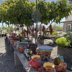 Sunset Nurseries
