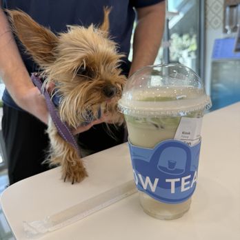 Wow Tea Drink - Bubble Tea Near Me - Palo Alto, California Wow Tea Drink - Bubble Tea Near Me - Palo Alto, California